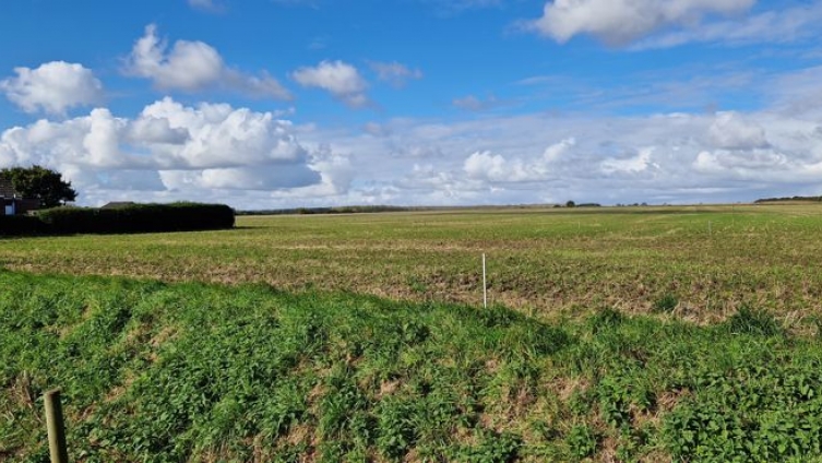 BUILDING PLOT - Fieldside, Mareham le Fen, PE22 7RS