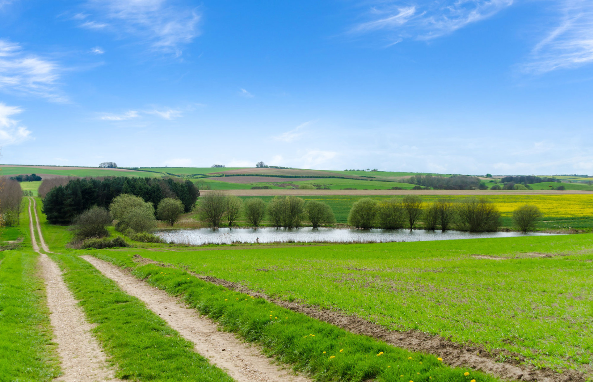 Countryside with farm track