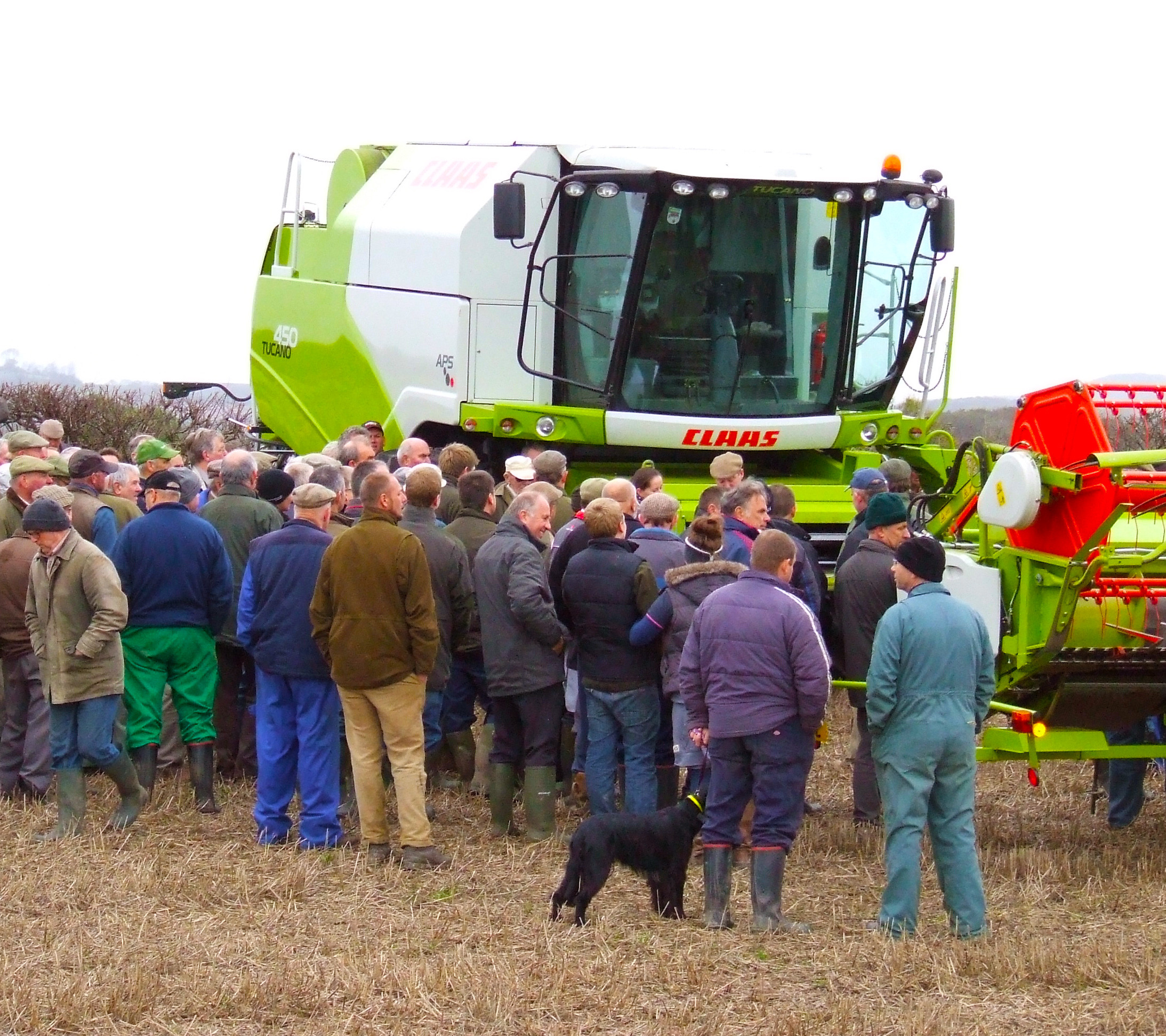 farm auctioneer