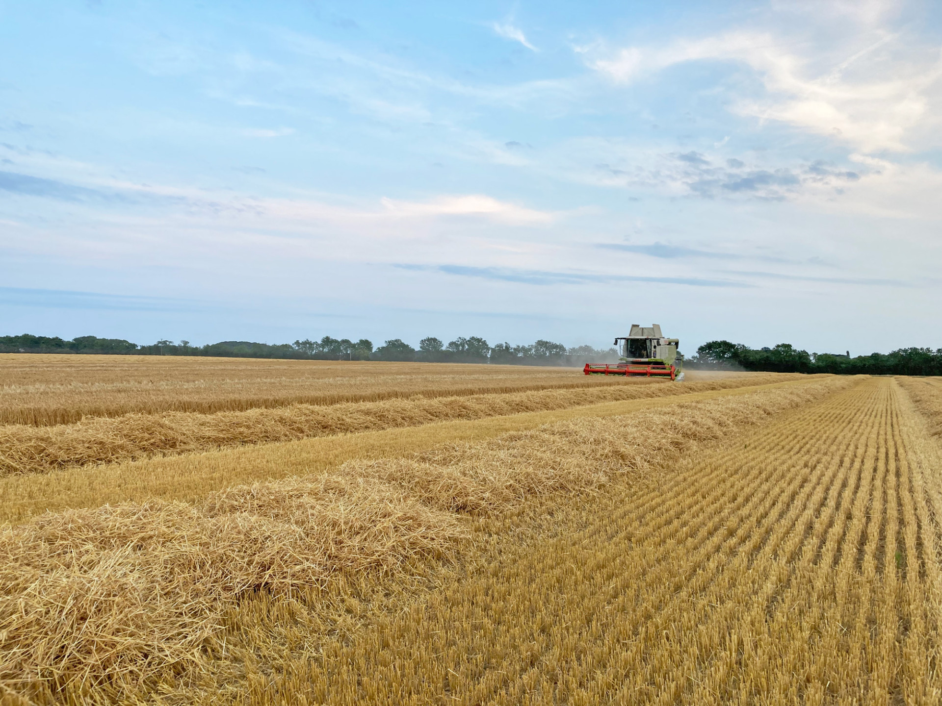 Field with combine harvester